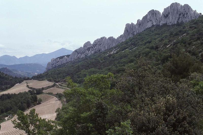 France 97 Dentelles de Montmiraille.jpg